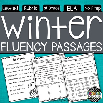 Preview of Winter Themed Fluency Passages