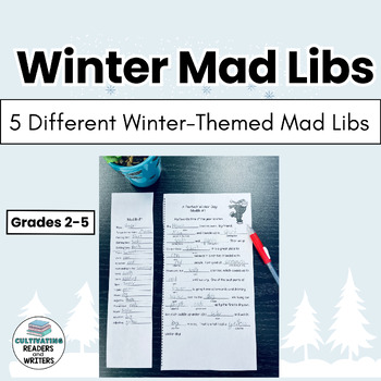 Preview of Winter Themed Mad Libs