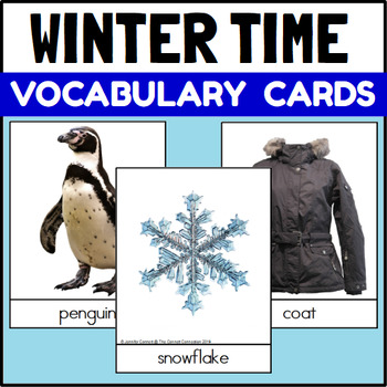Preview of Winter Themed Vocabulary Cards