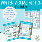 Winter Visual Motor Bundle Spot the Difference Cryptograms