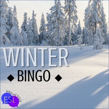 Preview of Winter Vocabulary Bingo for Adult ESL