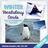 Winter Vocabulary Cards Freebie for Speech Language Therapy