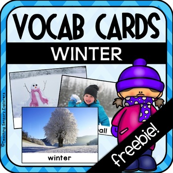 Preview of Winter Vocabulary Cards with photos