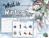 Winter Vocabulary/ Literacy Unit