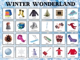 Winter Vocabulary Poster