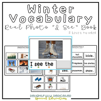 Preview of Winter Vocabulary Real Photo "I See" Adapted Book for Special Education