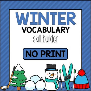 Preview of Winter Vocabulary Skill Builder - Interactive PDF