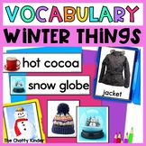 Winter Vocabulary - Winter Things Vocabulary Flash Cards (