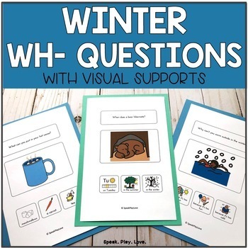 Preview of Winter WH Questions - Speech Therapy - Autism - Visuals - January Activity