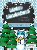 Winter Wonderland: CCSS Aligned Leveled Passages & Activit