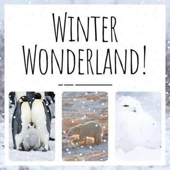 Preview of Winter Wonderland | Celebrate the Animals Who Love the Winter Season