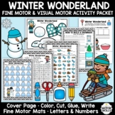 Winter Wonderland • Fine Motor & Visual Motor • Color, Wri