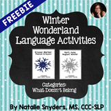 Winter Wonderland Language Activities for Speech Language 