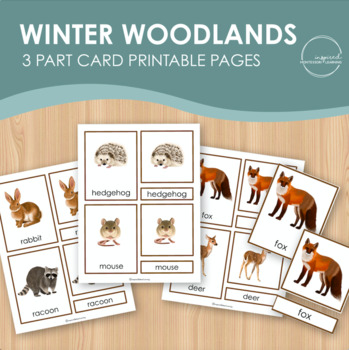 WINTER Montessori 3 part cards with real pictures Language cards for learning Portuguese and English Seasons Nomenclature cards.