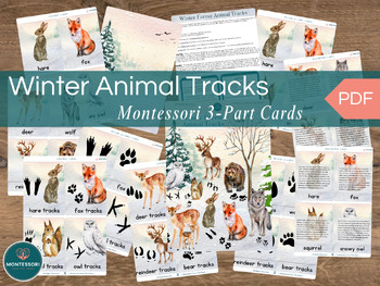 Preview of Winter Woodland Watercolor Forest Animal Tracks Montessori 3-Part Cards