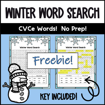 Preview of Winter Word Search Phonics CVCe FREEBIE