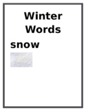 Winter Words List with Pictures Reusable Tracing and Print