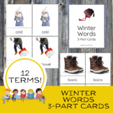 Winter Words Montessori Nomenclature 3-Part Cards Seasons 