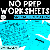 Winter Worksheets | Basic Skills | No Prep Pack | Special 