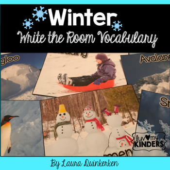 Preview of Winter Write The Room Vocabulary
