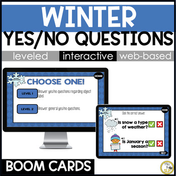 Preview of Winter Yes/No Questions - Language Skill Builder - Digital Boom Cards