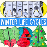 Winter life cycle foldable cut and paste activities Christ