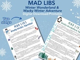 Winter-themed Mad Libs, Class Activity/Game, Creative Writ