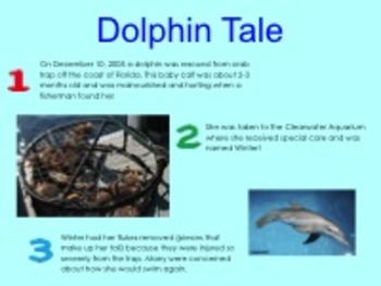 Preview of Winter's Tale (Winter the Dolphin's Story)