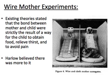 Preview of Wire Mother Experiments and Romanian Orphans-- Sociology/Psychology
