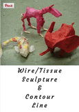 Wire/Tissue Sculpture and Contour Line