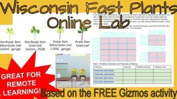 Preview of Wisconsin Fast Plants Online Simulation Lab