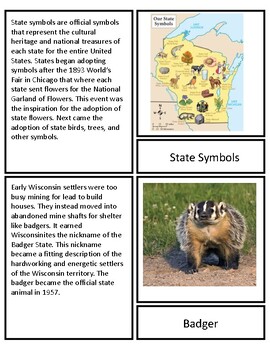 Preview of Wisconsin State Symbols Nomenclature Cards