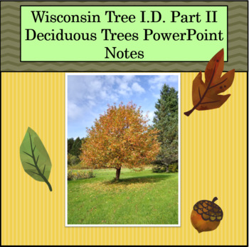 Preview of Wisconsin Tree I.D. Part II - Identifying Deciduous Trees Notes