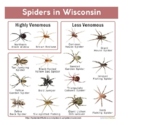 Wisconsin nature identification cards: Butterflies, Caterp