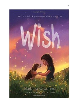 Preview of Wish by Barbara O'Connor Study and Actiivty Guide