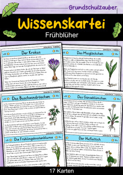 Preview of Wissenskartei - Frühblüher (German)