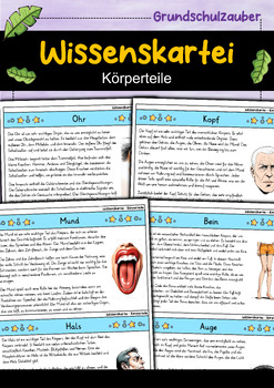 Preview of Wissenskartei - Körperteile (German)