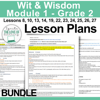 Preview of Wit Lesson plans (Not all lessons included) Grade 2 Module 1
