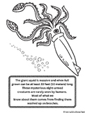 Wit&Wisdod Mod 1 Third Grade Giant Squid
