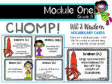 Wit & Wisdom Grade 3 Module 1 Vocabulary Cards