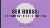 Wit & Wisdom Module 2- Sea Horse: The Shyest Fish in the Sea