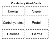 Wit & Wisdom Module 4 (Grade 2) Vocab Cards and Test- Good
