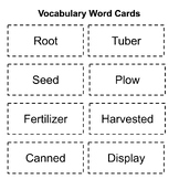 Wit & Wisdom Module 4 (Grade 2) Vocab Cards and Test- The 