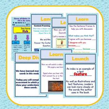 Wit and Wisdom-First Grade Module 2 Lessons 15-20 by LinLou | TpT