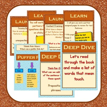 Wit and Wisdom-First Grade Module 2 Lessons 27-32 by LinLou | TpT