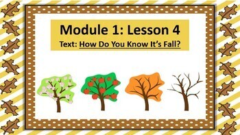 Preview of Wit and Wisdom - Module 1 (2nd Grade) COMPLETED BUNDLE