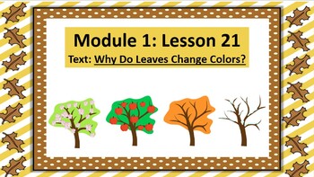 Preview of Wit and Wisdom Slideshow (2nd Grade, Module 1, Lesson 21)