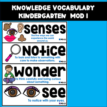 Preview of Knolwedge Vocabulary Word Wall - Kindergarten - Five Senses