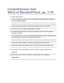 Witch of Blackbird Pond Comprehension Quiz ch. 1-4