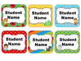 Wizard of OZ Themed Student Name Cards {Editable}